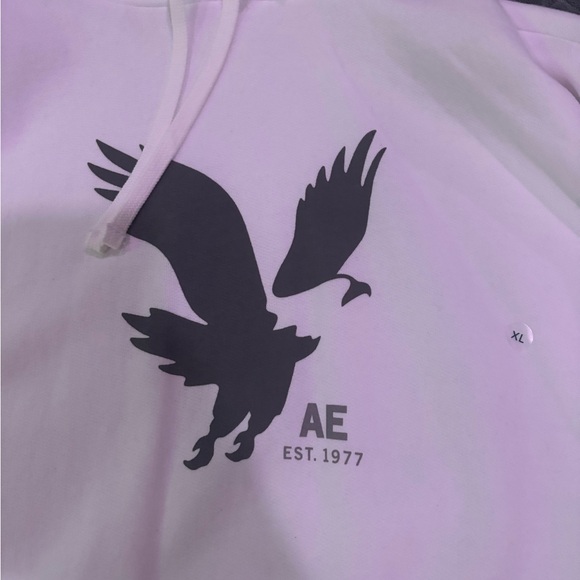 American Eagle Outfitters Classic White Hoodie - Picture 2 of 4